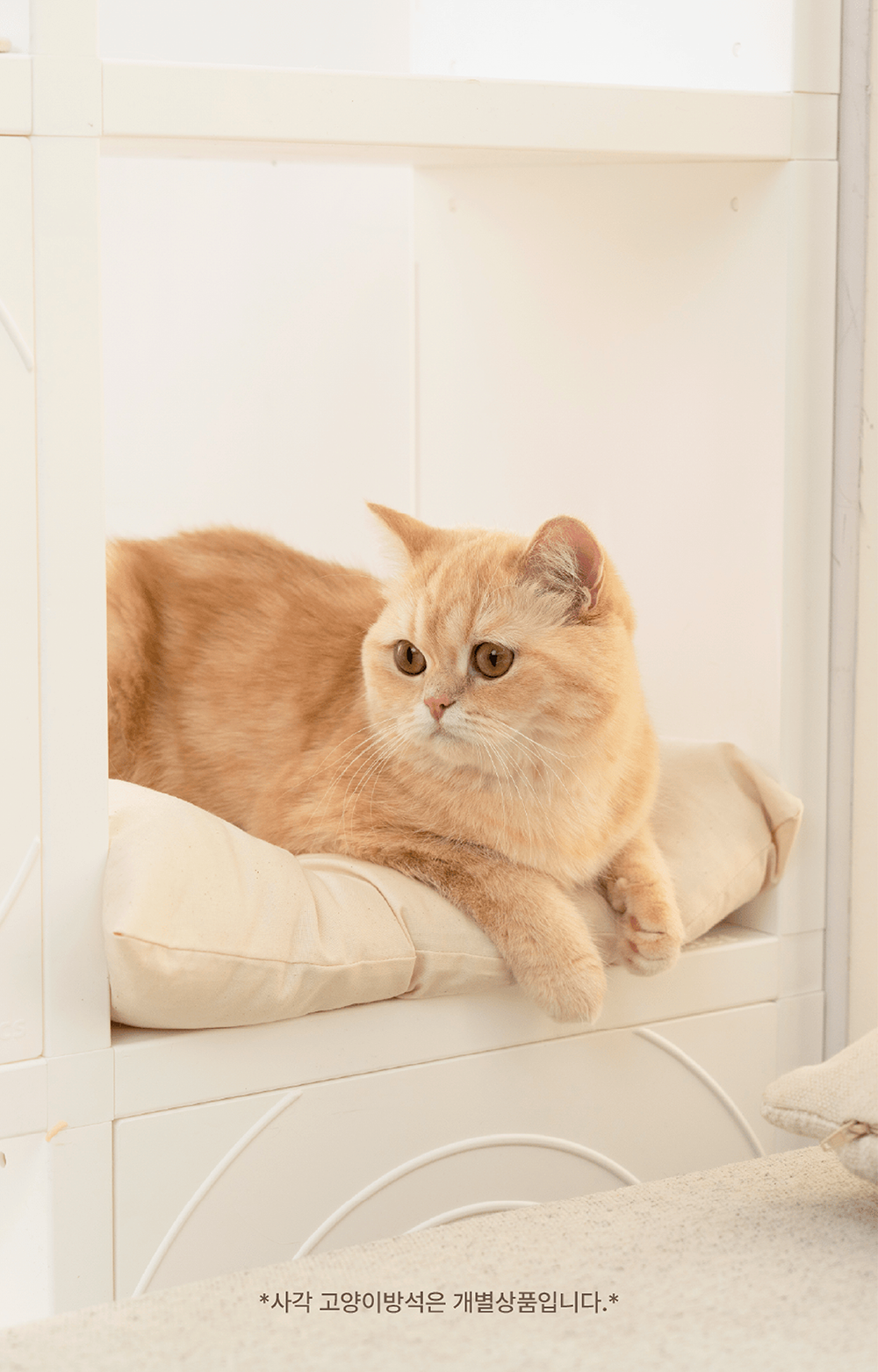 [NEW신상][무료배송] 큐빅스펫 고양이 타워 2x4 B+ 커버 세트 6color  +스크래쳐1장 포함 36번째