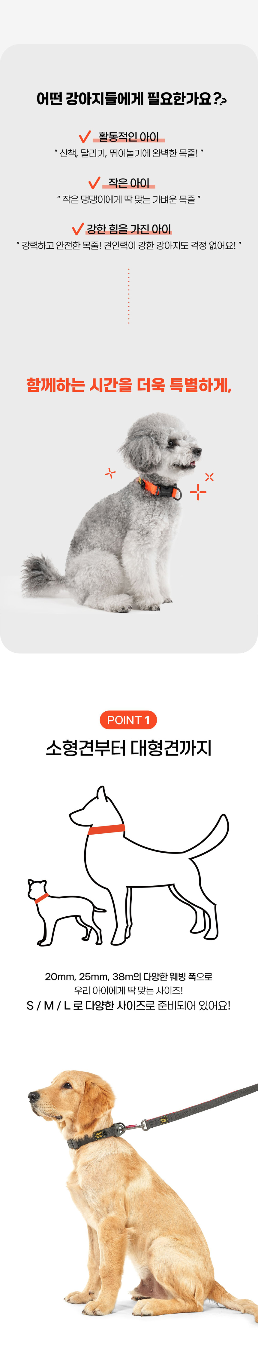 [무료배송] 니즈더펫 인터라켄 어스텍 스탠다드 목줄 2번째