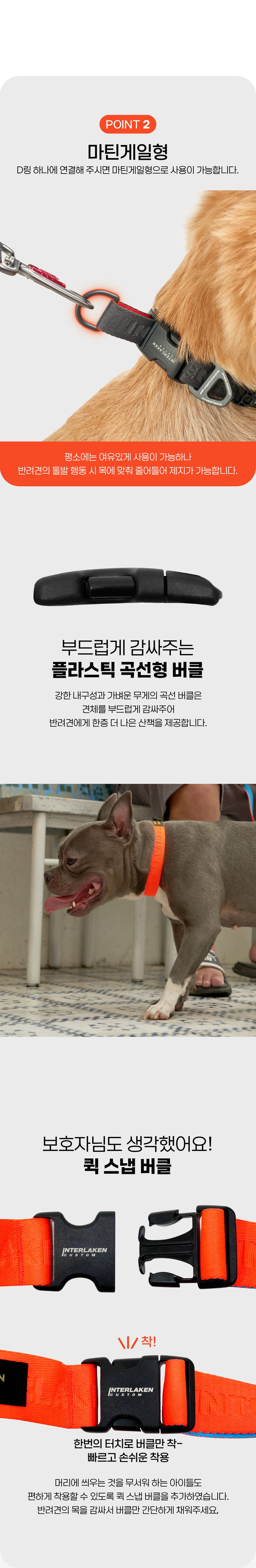 [무료배송] 니즈더펫 인터라켄 어스텍 스탠다드 목줄 3번째