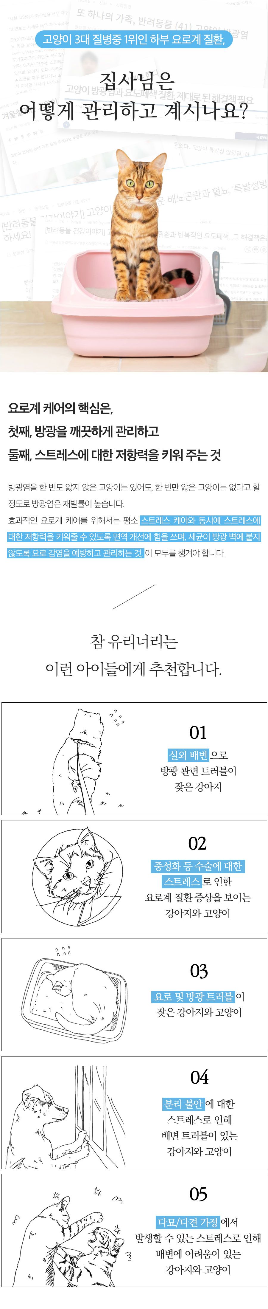 [유통기한임박, 25년5월31일] 페피테일 참 유리너리 60캡슐 4번째