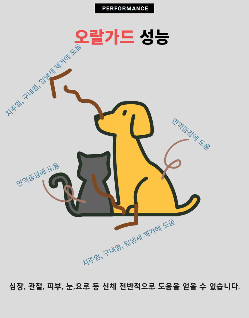 [NEW신상][무료배송] 펫프렌즈 오랄가드 30g (1g*30포) 5번째