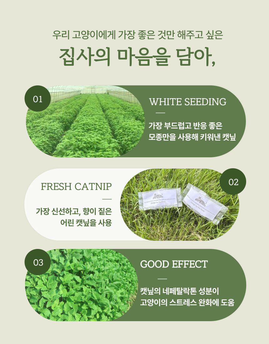 [NEW신상][무료배송] 펫타임즈 프리미엄 캣닢 마따따비 티백 2번째