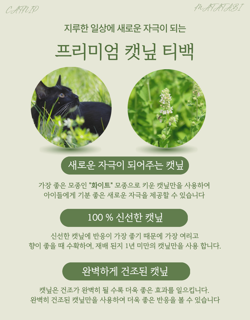 [NEW신상][무료배송] 펫타임즈 프리미엄 캣닢 마따따비 티백 3번째