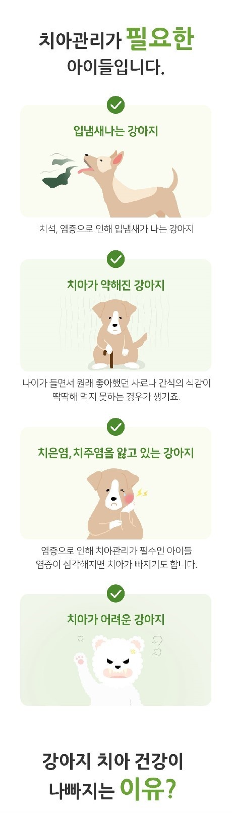 [무료배송] 하이비오 독 인섹트 영양제 덴탈 90g 4번째