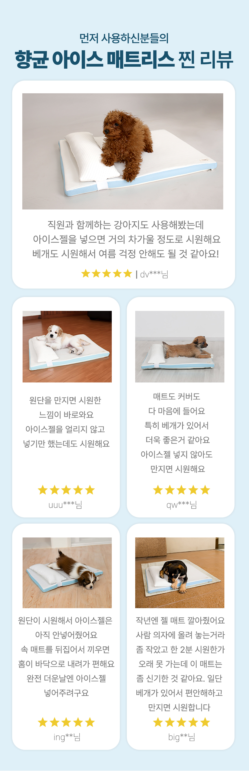 [무료배송] 초코펫하우스 리얼아이스매트 19번째