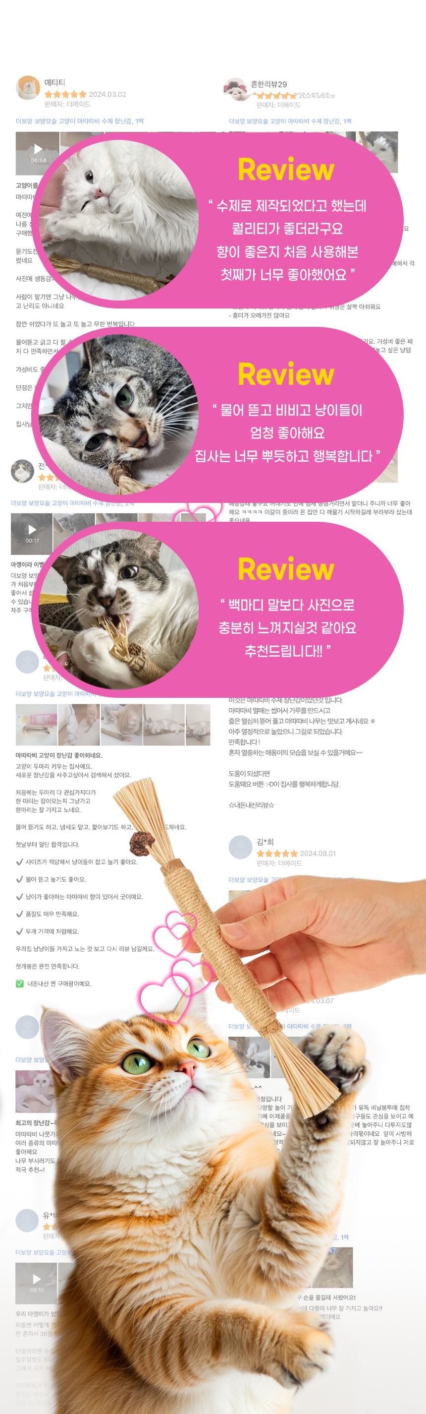 더보양 캣 보양묘술 마따따비 천연 장난감 2p 4번째