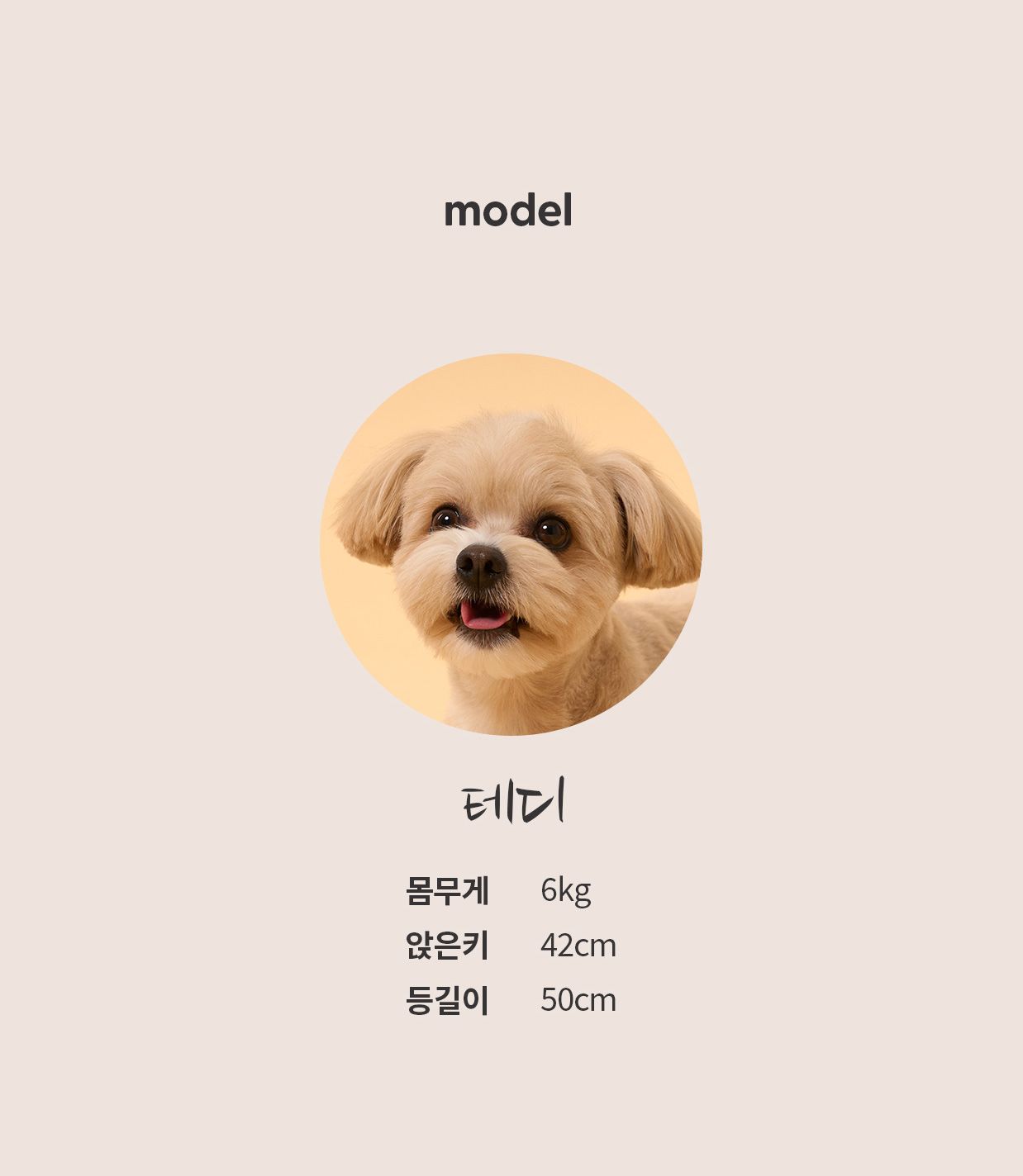 [무료배송] 두잇 리치폼 샴푸 500ml 12번째