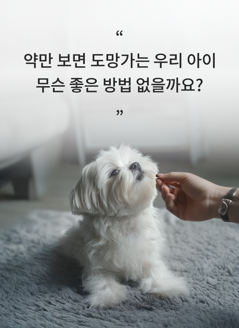 344453[체험단] [무료배송] 아우어레시피 프리미엄 기능성 펫케어 for 관절 120g 2번째 상세 이미지