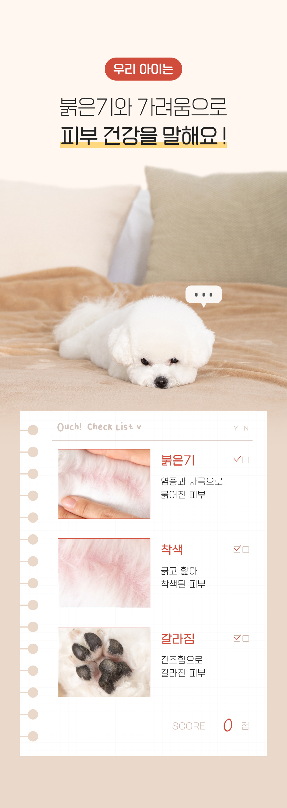 [무료배송] 정글몬스터 세라마이독 연고 50g 1번째