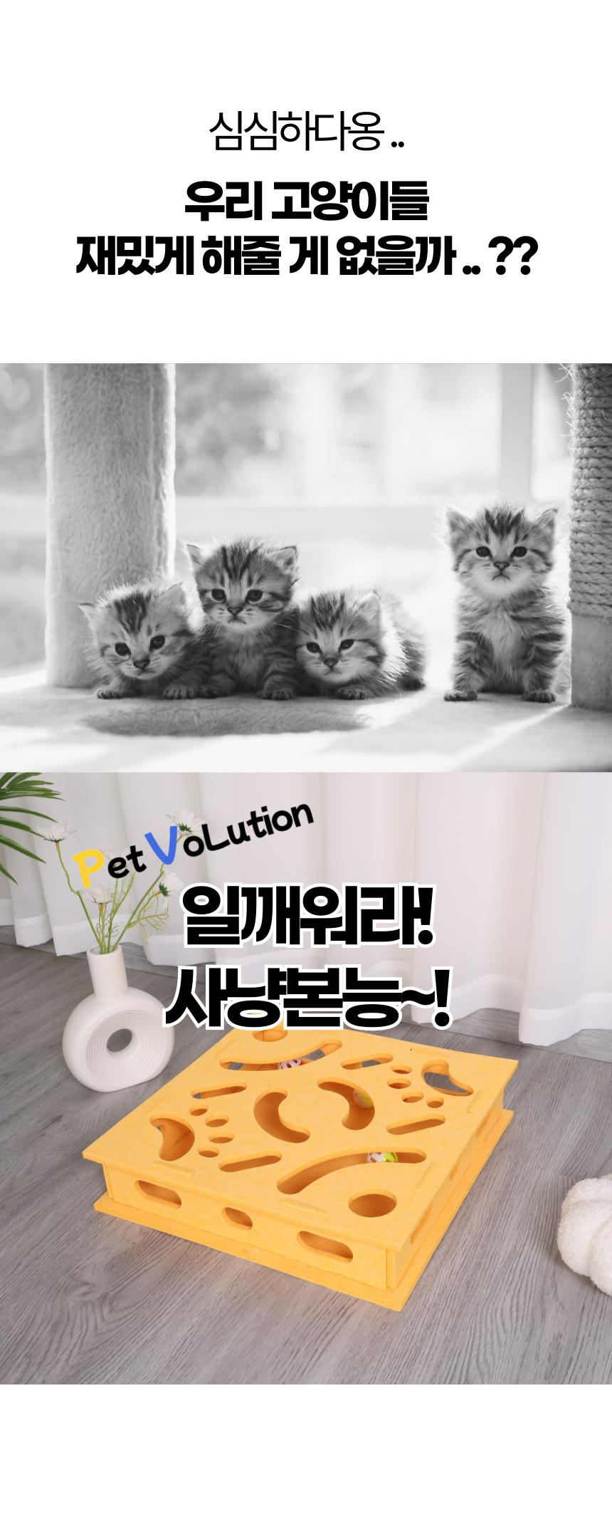 [NEW신상][무료배송] 펫볼루션 일깨워라 사냥본능 먹이찾기 장난감 1번째