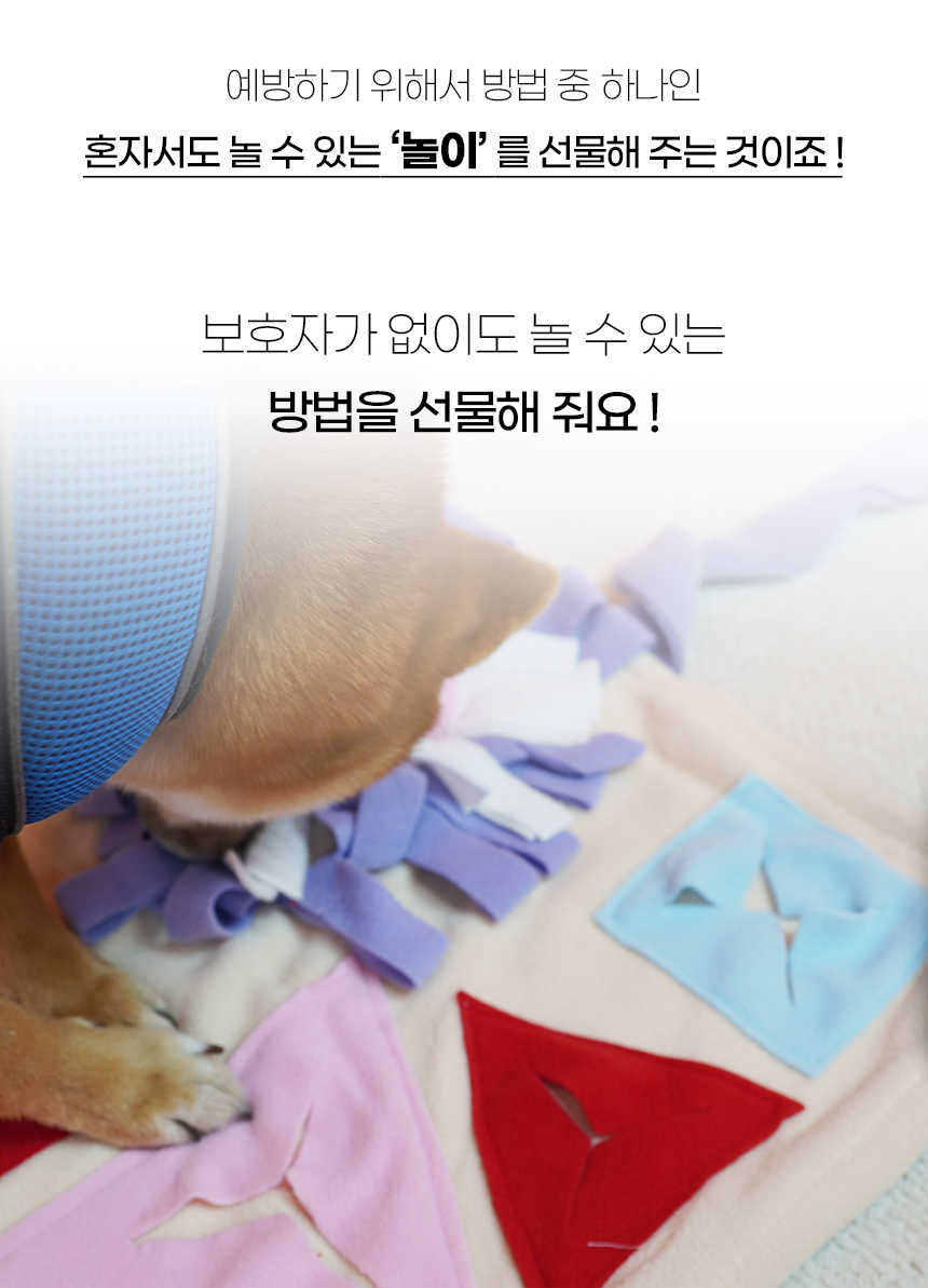 [NEW신상][무료배송] 개과천선 독 스케일 노즈워크 매트 (대형/특대형/메가 특대형) 2번째