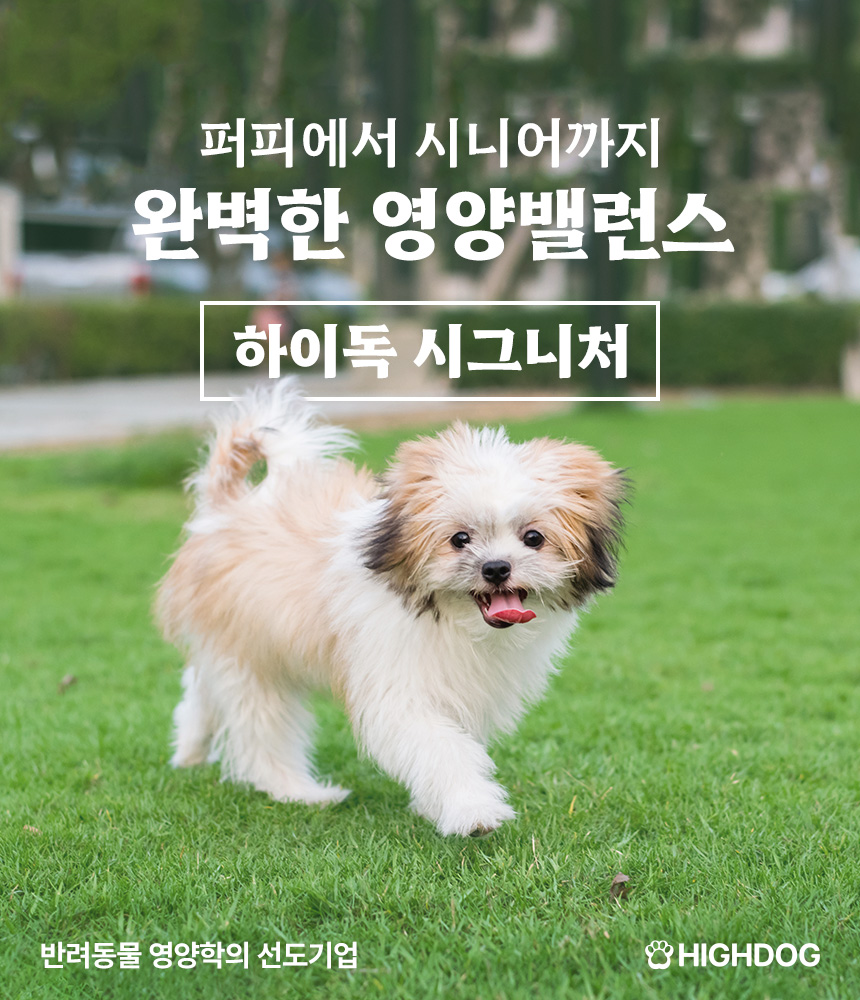 [무료배송] 하이독 시그니처 돼지고기 화식 100g*20팩 1번째