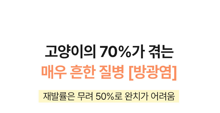[무료배송] 멍냥이랑 RX시스토 방광염 영양제 60캡슐 5번째