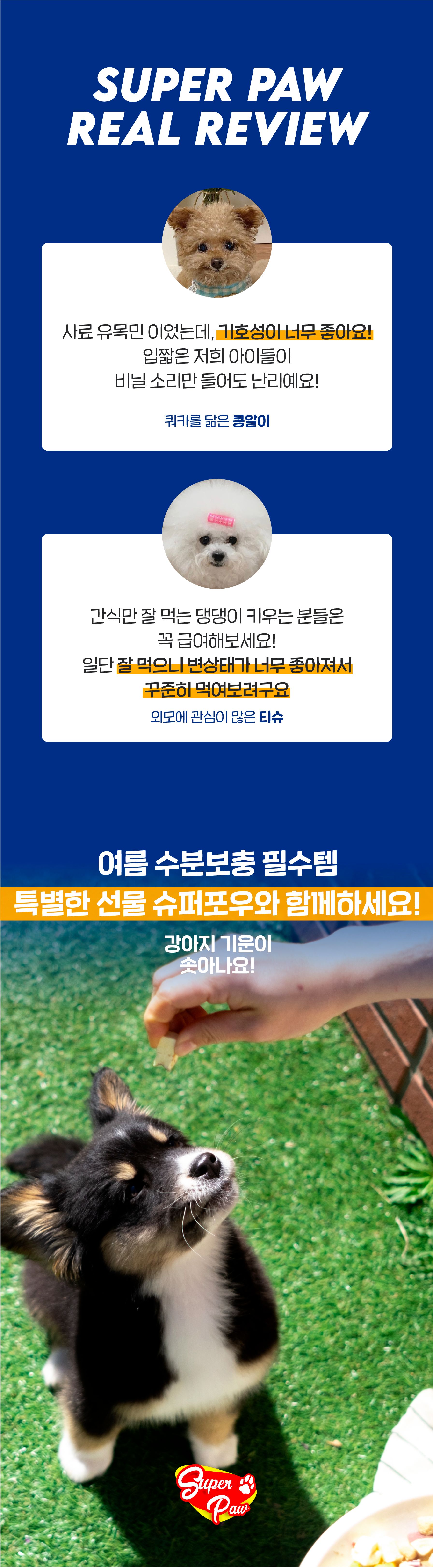 [무료배송] 슈퍼포우 독 동결건조 연어첵스 180g 7번째