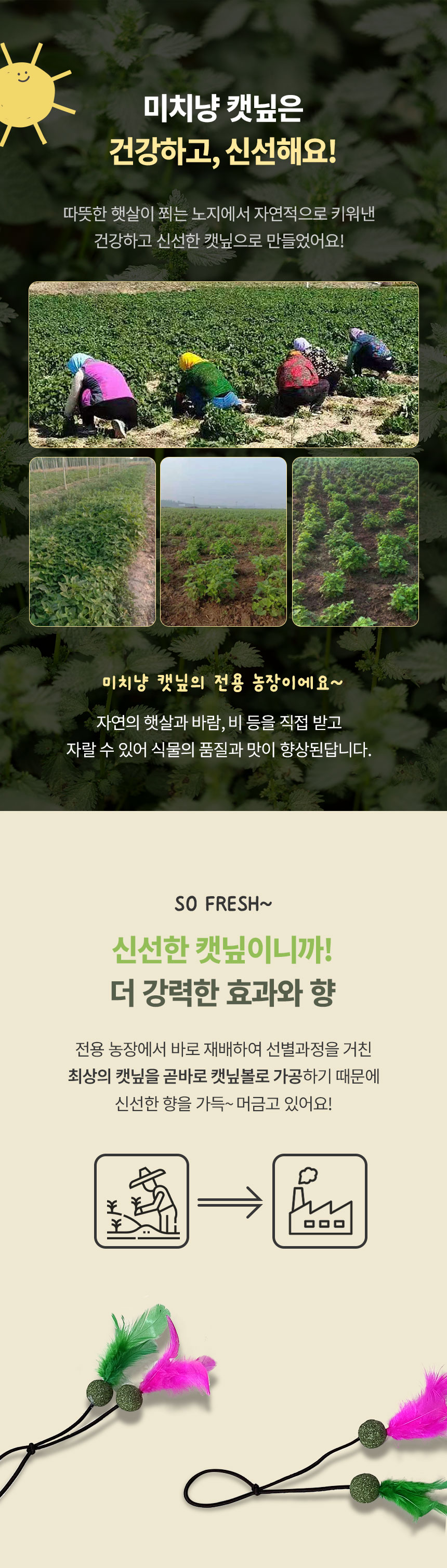 [무료배송] [3개] 크레용펫 미치냥 쫄깃 낚시줄 캣닢 장난감 4번째