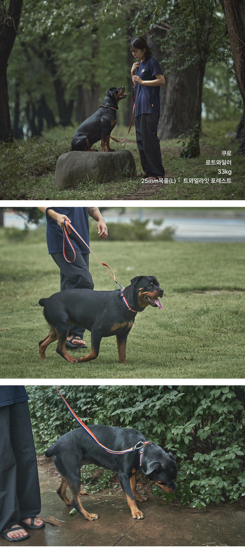 [무료배송] 젠틀우프 워크하드 목줄 자체개발 웨빙 (8color/3size) 4번째