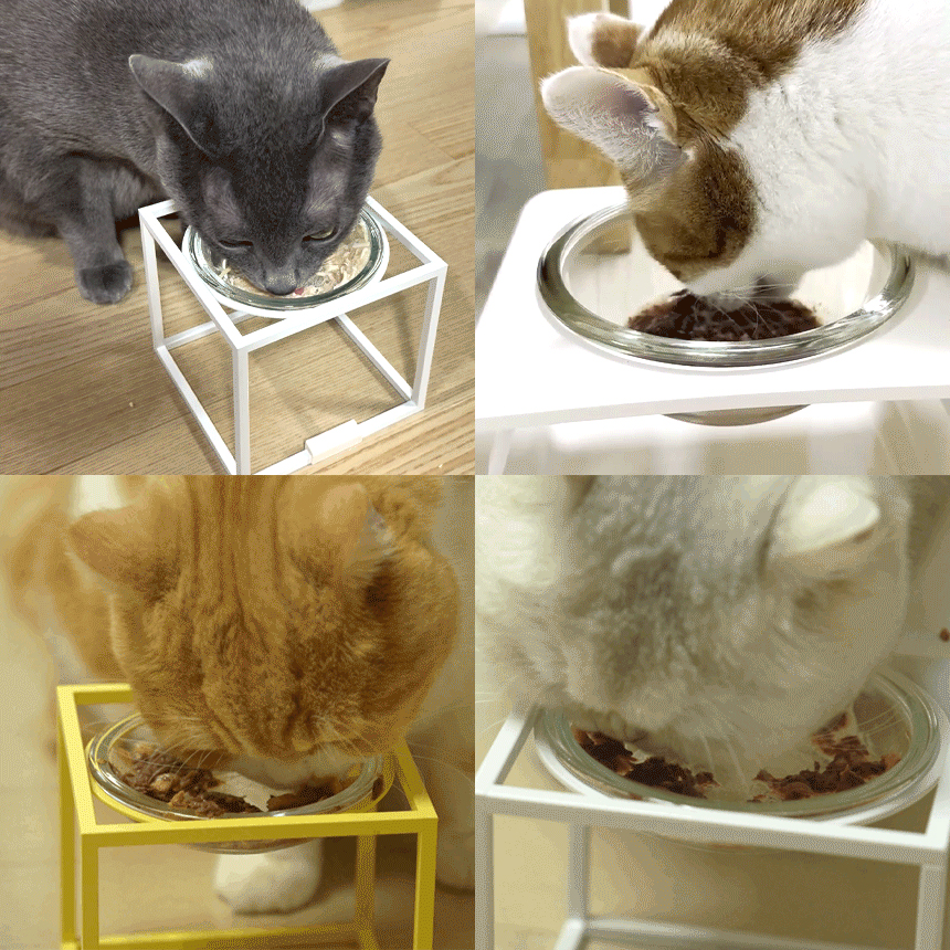 [무료배송] 3651 캣 와구 레드라벨 습식 참치캔 24개입 2번째