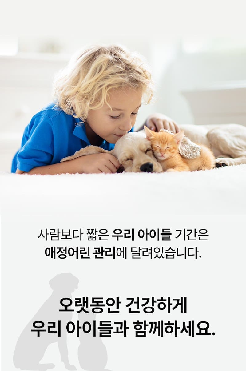 [무료배송] 견우직냥x펫산균 프리바이오틱스 2g*30p 23번째