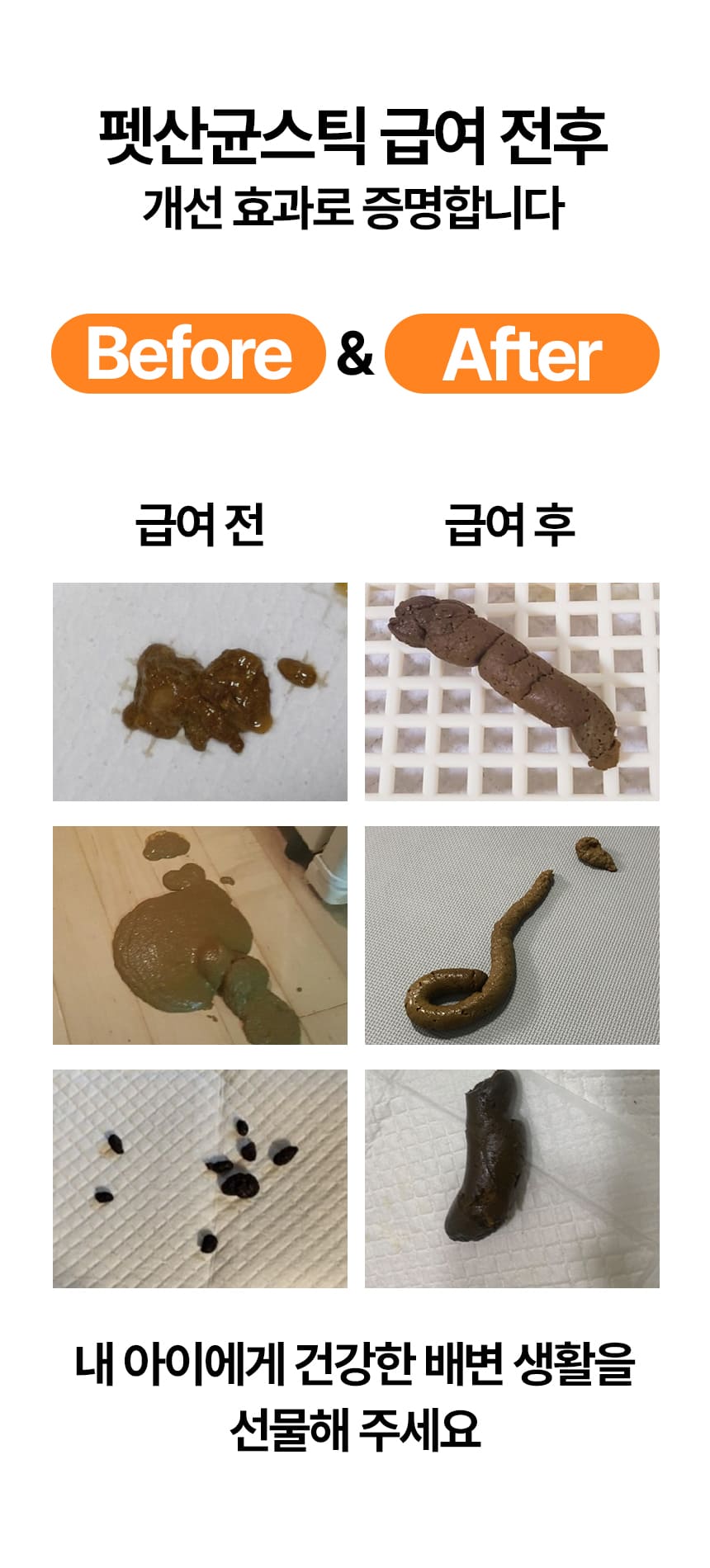 [무료배송] 견우직냥x펫산균 프리바이오틱스 2g*30p 3번째