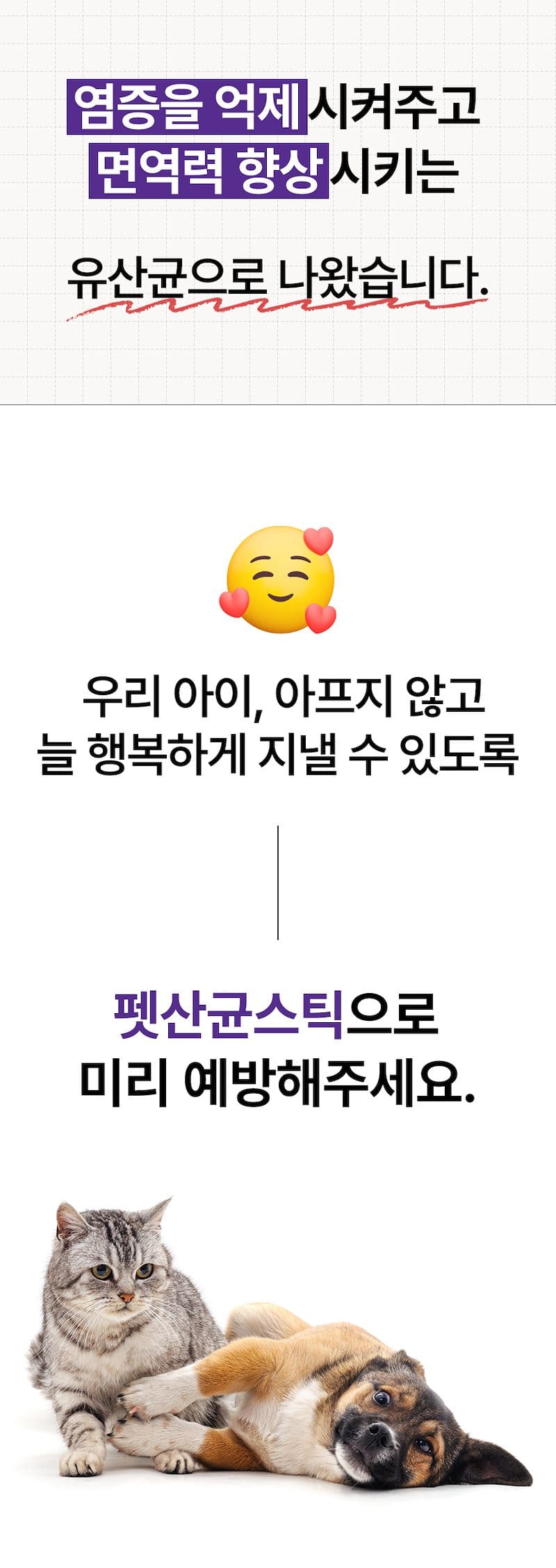[무료배송] 견우직냥x펫산균 프리바이오틱스 2g*30p 13번째