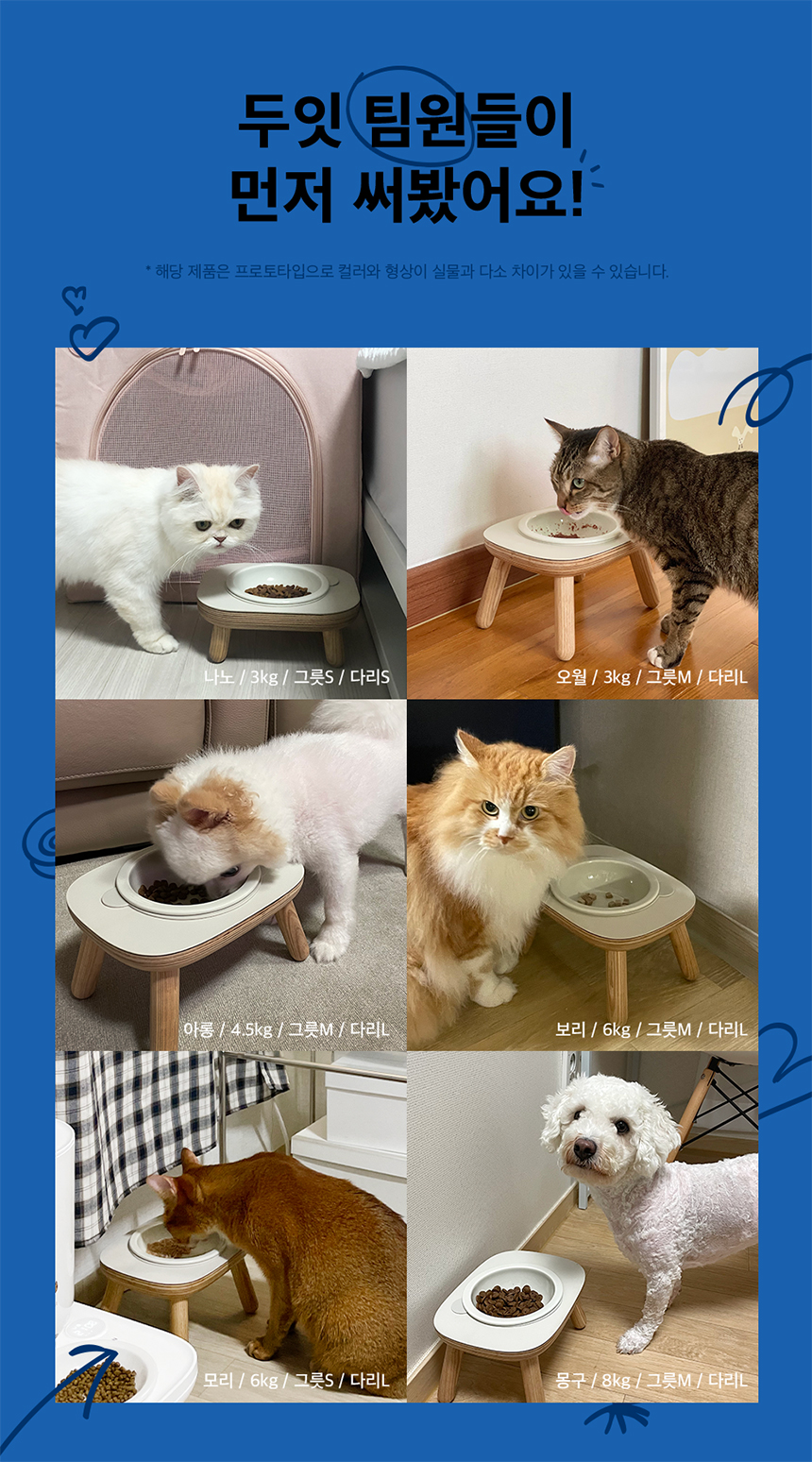 [무료배송] 두잇 데일리테이블 머쉬룸 반려동물 식탁 4번째