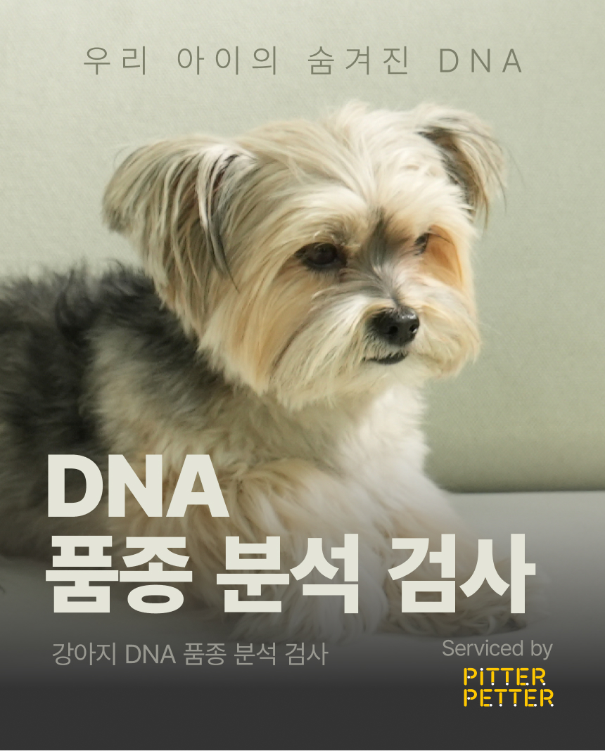 [NEW신상] [무료배송] 피터페터 독 DNA 품종 분석 검사 키트 1번째
