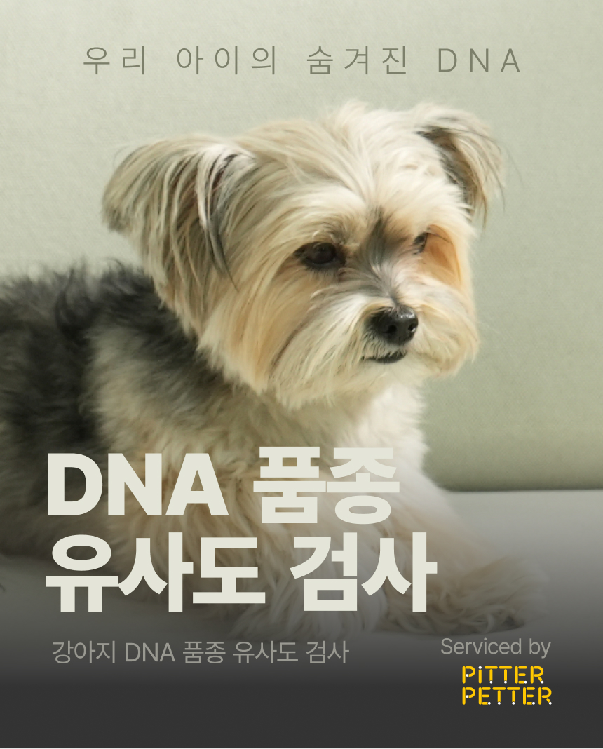 [NEW신상][무료배송] 피터페터 독 DNA 품종 분석 검사 키트 1번째
