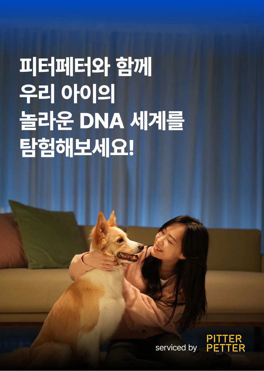 [NEW신상][무료배송] 피터페터 독 DNA 품종 분석 검사 키트 16번째
