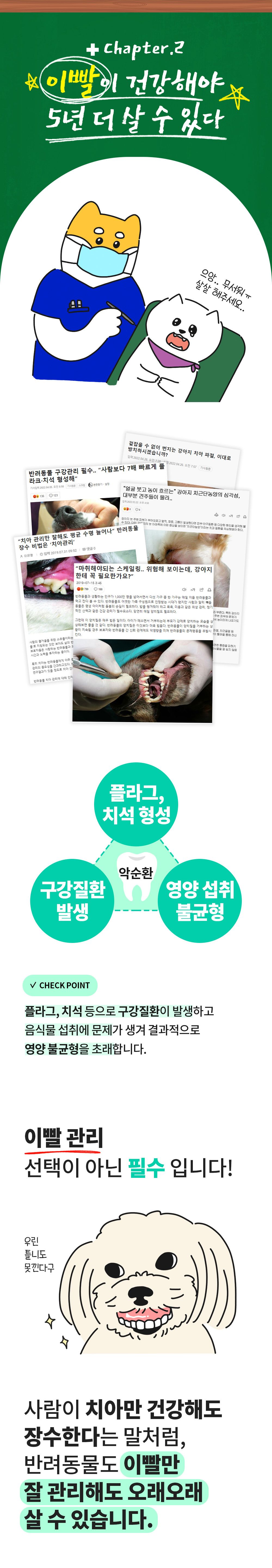 [무료배송] 파파메디 튼튼하게 치아&관절 2종 세트 6번째