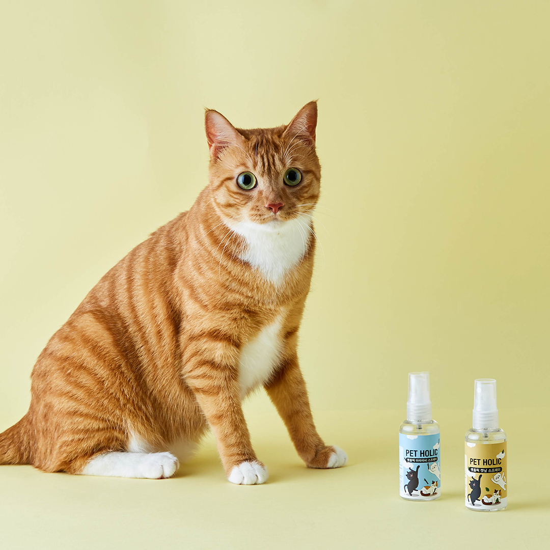 펫홀릭 뽕냥뽕냥 캣닢/마따따비 스프레이 60ml 1번