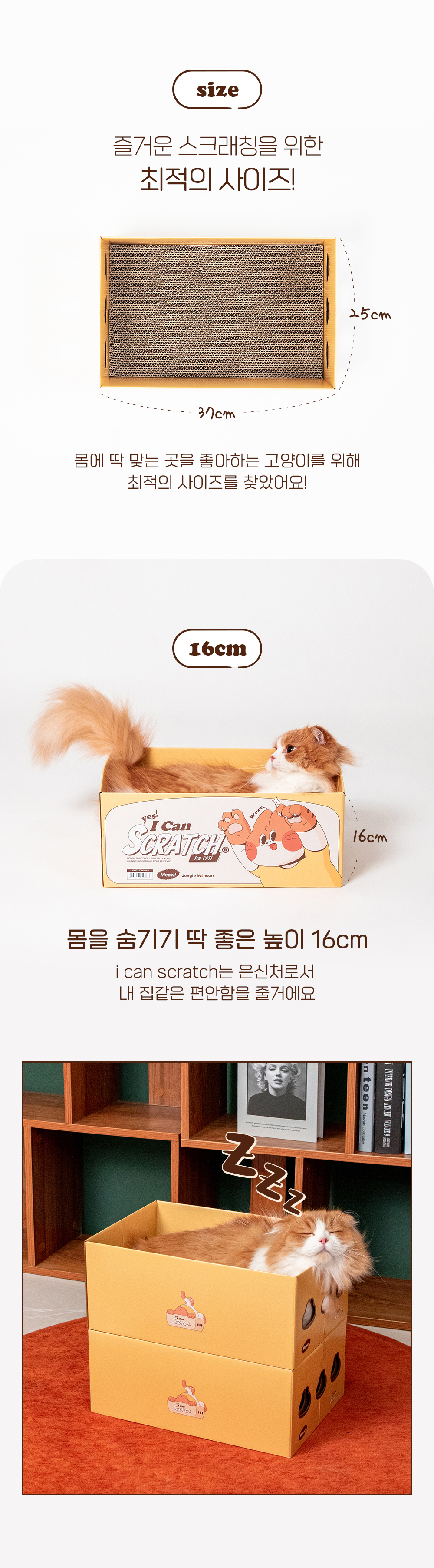 [심쿵펫페어][무료배송][2개] 정글몬스터 아이캔 스크래쳐  4번째