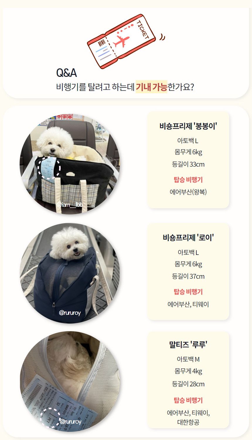 [무료배송] 바비스영 포그니 아토백 8종 S-L 20번째