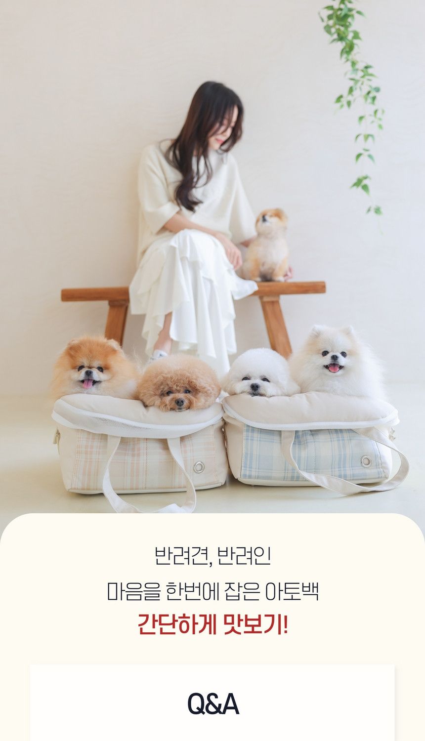 [무료배송] 바비스영 포그니 아토백 8종 S-L 7번째