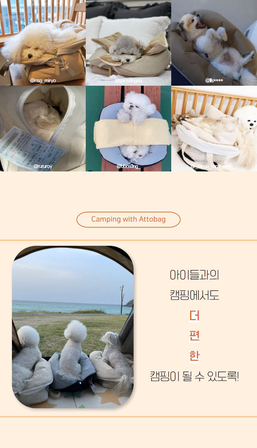 [무료배송] 바비스영 포그니 아토백 8종 S-L 12번째