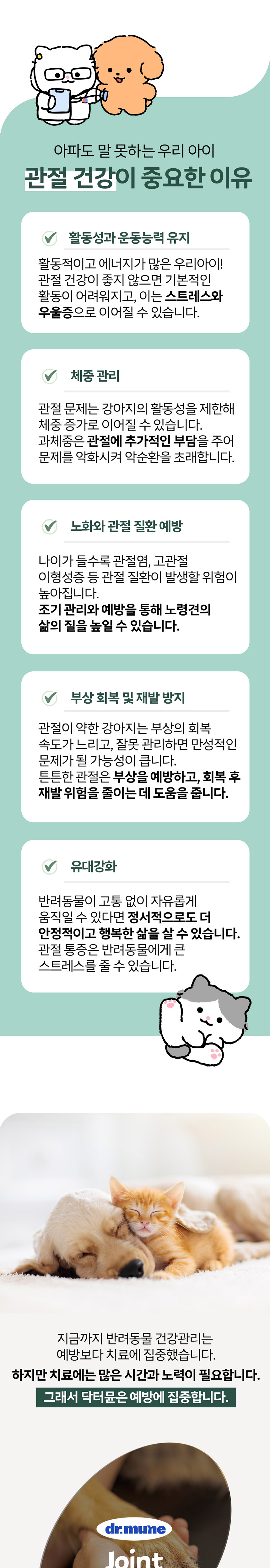 [NEW신상][무료배송] 닥터뮨 조인트 60g 3번째