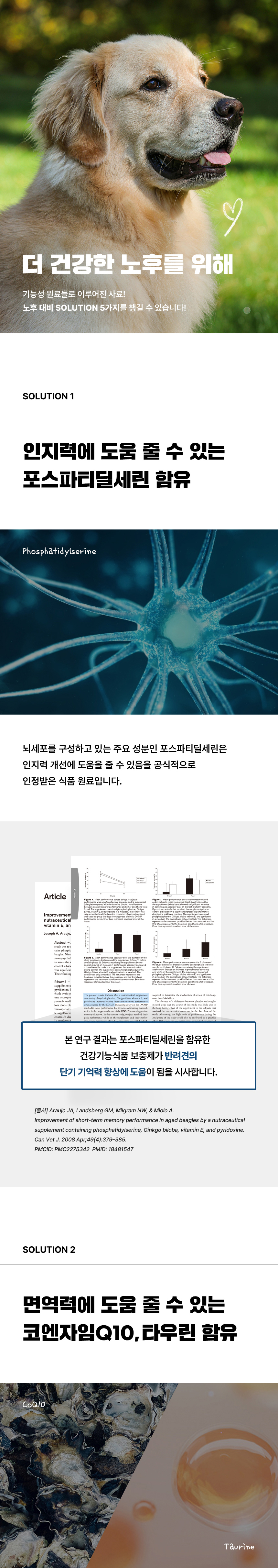 [NEW신상][무료배송] 데이스포 독 코엔자임Q10 오리고리&닭고기 라지브리드 테라픽 에이징5 시니어 10kg 5번째