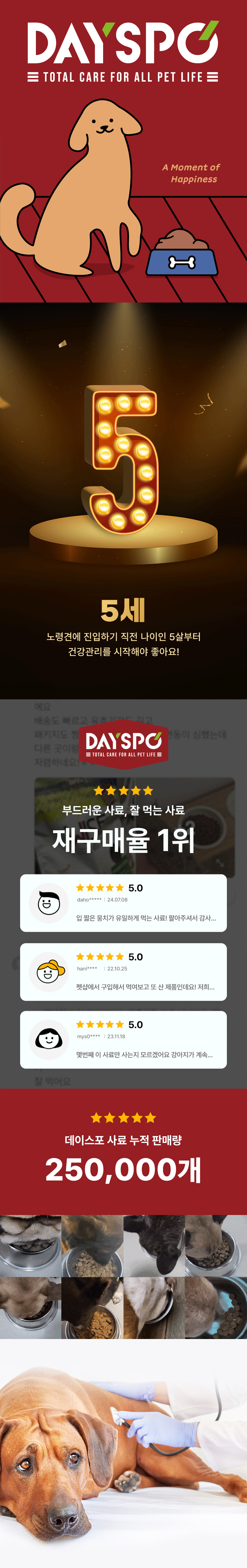 [NEW신상][무료배송] 데이스포 독 코엔자임Q10 오리고리&닭고기 라지브리드 테라픽 에이징5 시니어 10kg 1번째