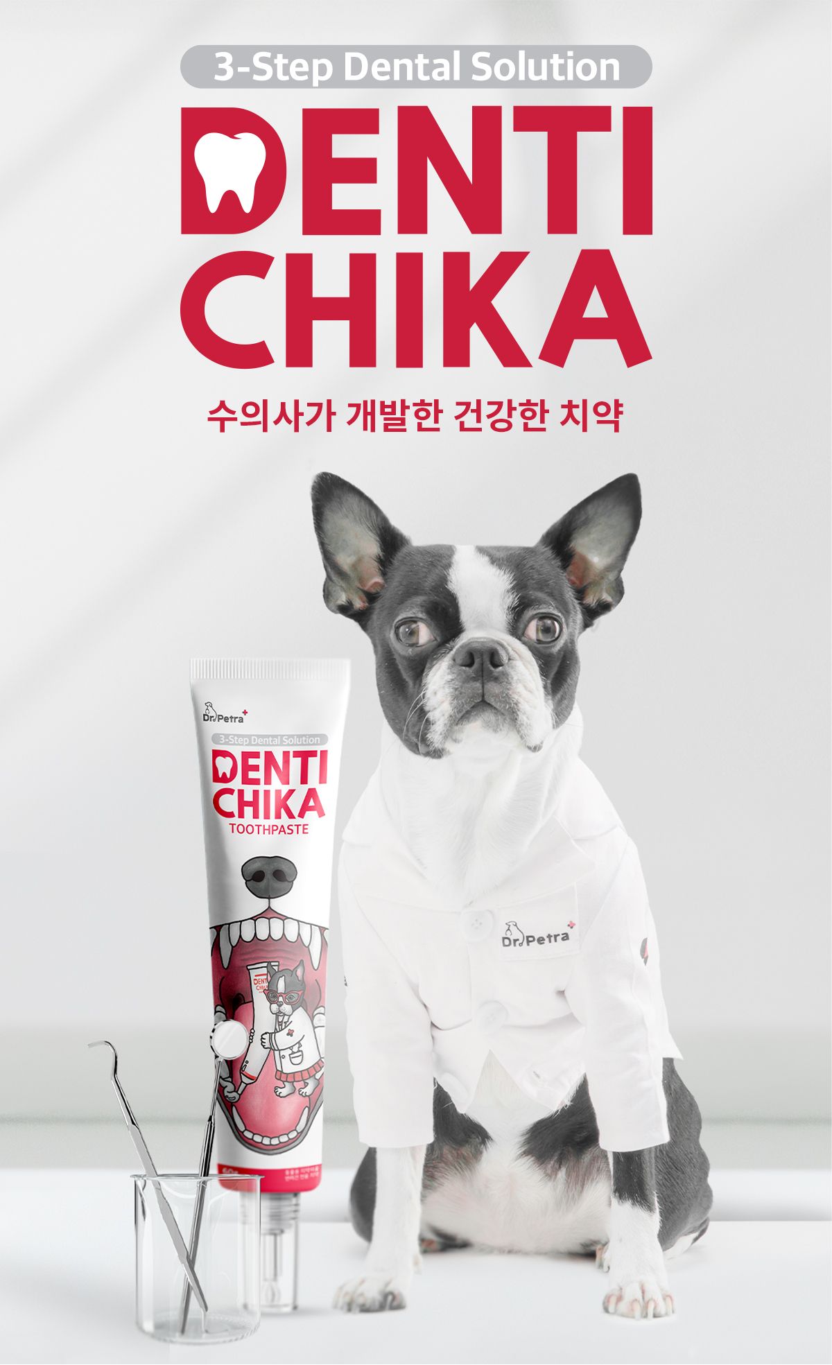 [유통기한임박, 26년5월21일] 닥터페트라 독 덴티치카 닭고기향 60g 13번째