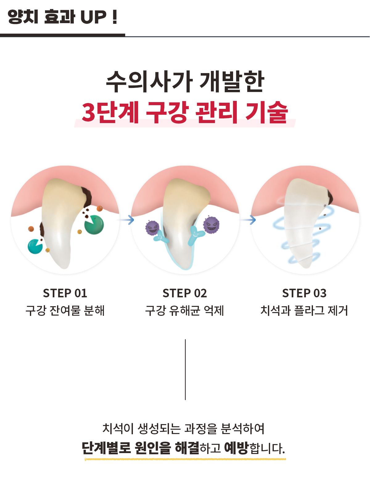 [유통기한임박, 26년5월21일] 닥터페트라 독 덴티치카 닭고기향 60g 17번째