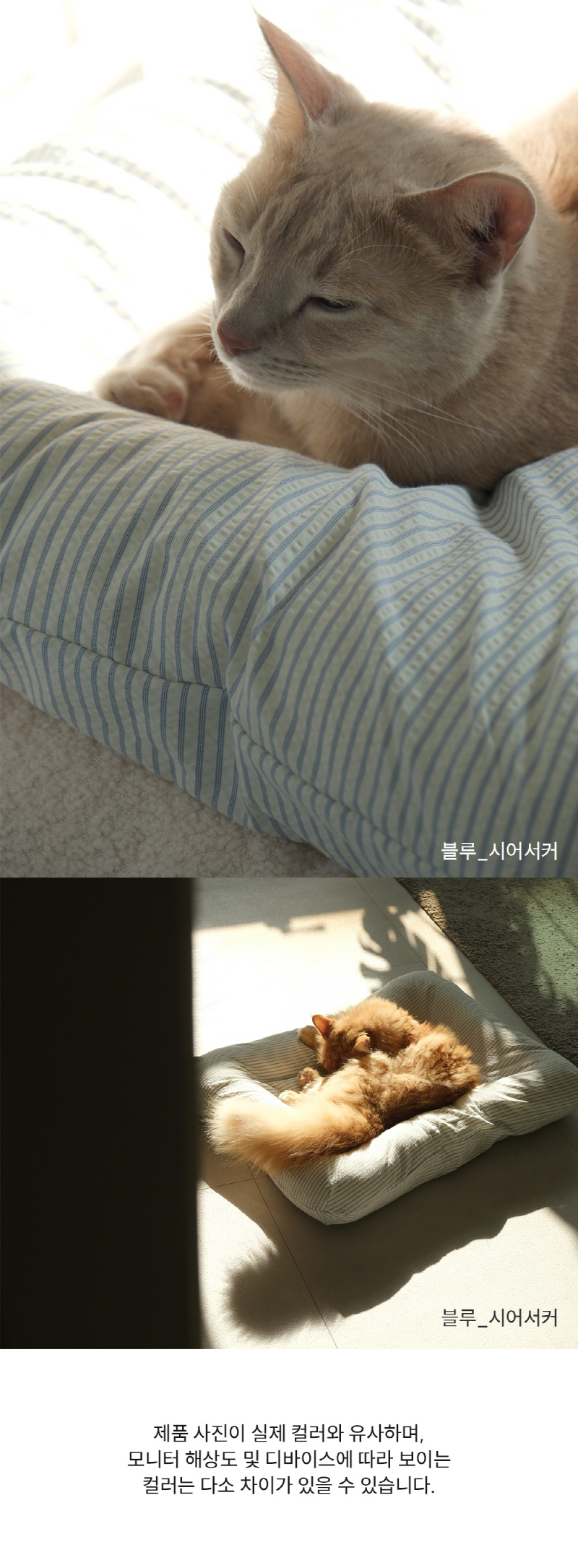 [NEW신상][무료배송] 모우스튜디오 냥모나이트 방석 17번째