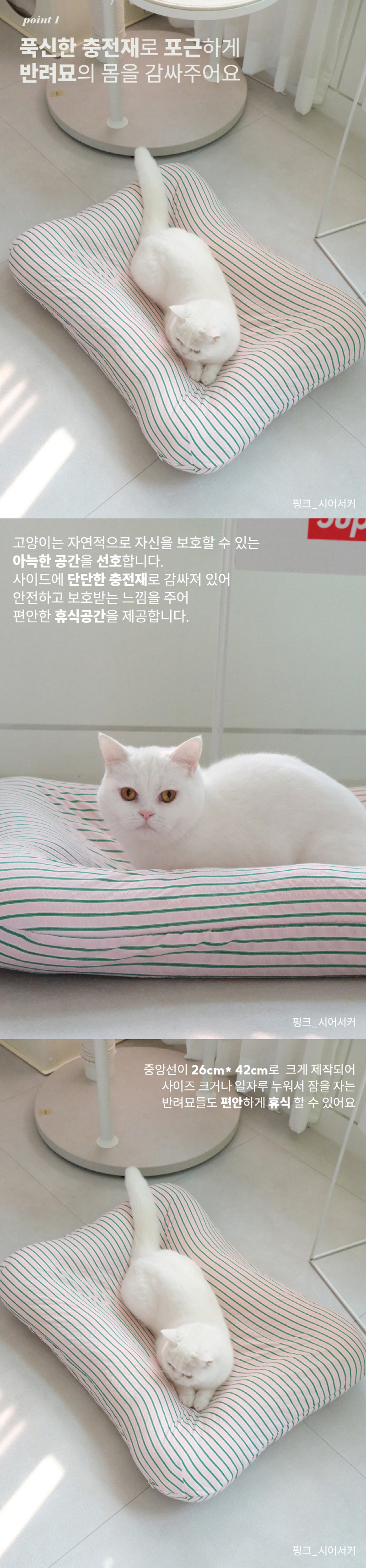 [NEW신상][무료배송] 모우스튜디오 냥모나이트 방석 4번째