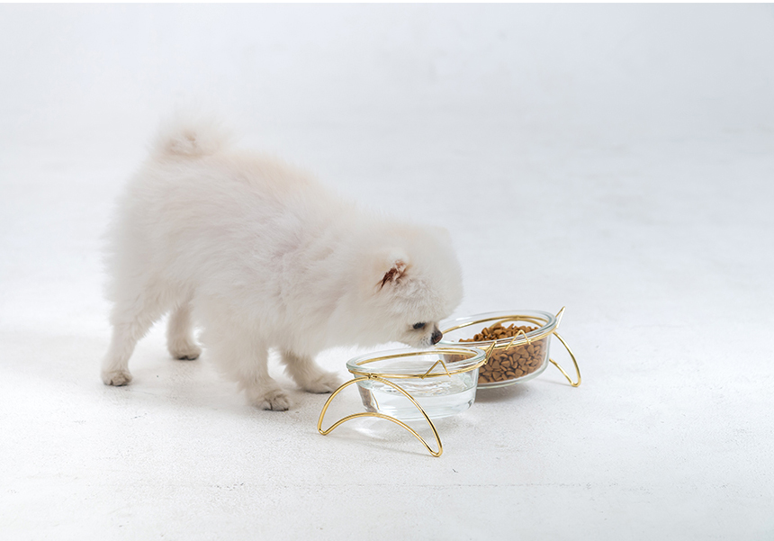 [무료배송] 레토 강아지 밥그릇 고양이 물그릇 유리 식기 식탁세트 3번째
