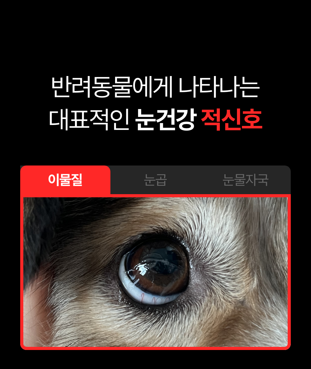 [NEW신상]프로젝트21 클리어 뷰 아이드롭 0.5ml*20ea 6번째
