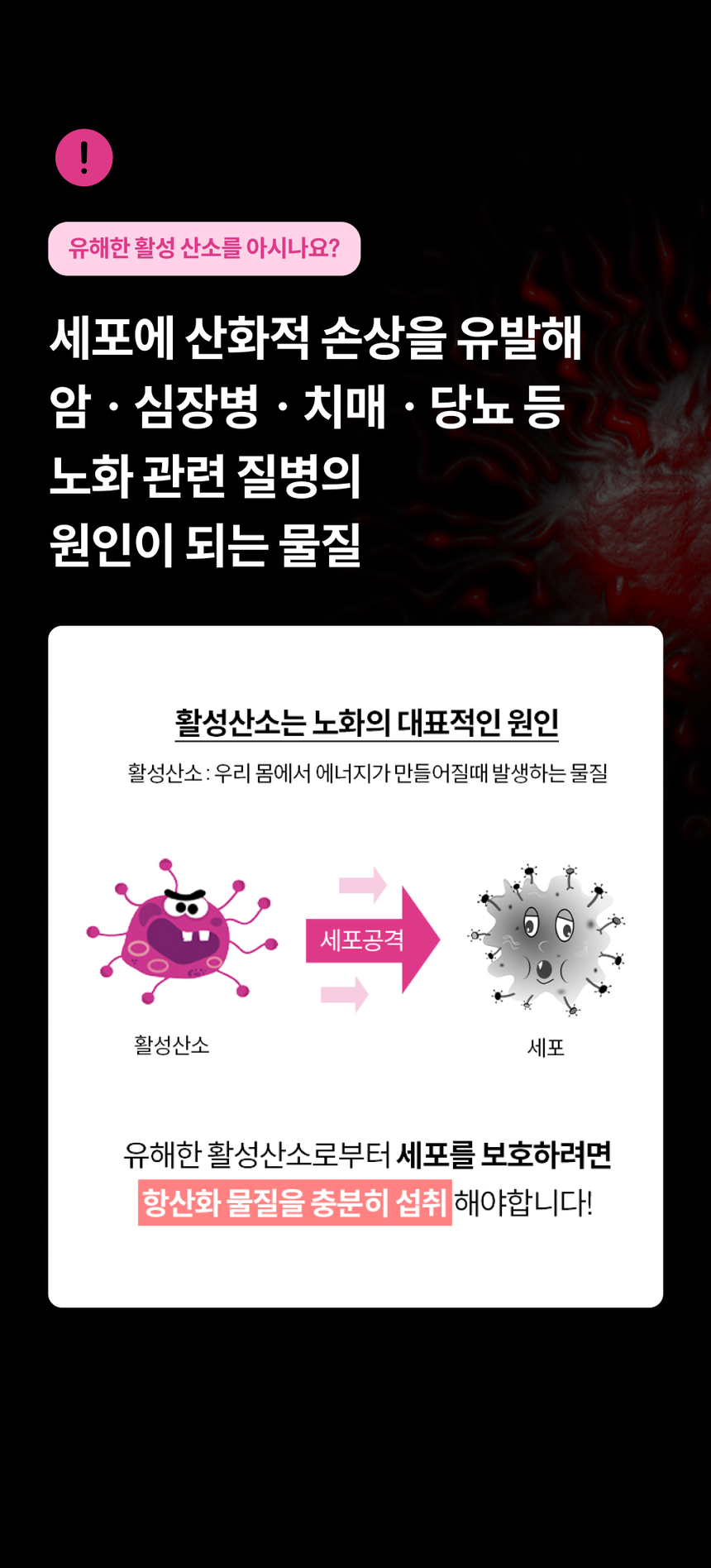[무료배송] 트러스티푸드 가니쉬 동결건조 야채믹스 50g 9번째