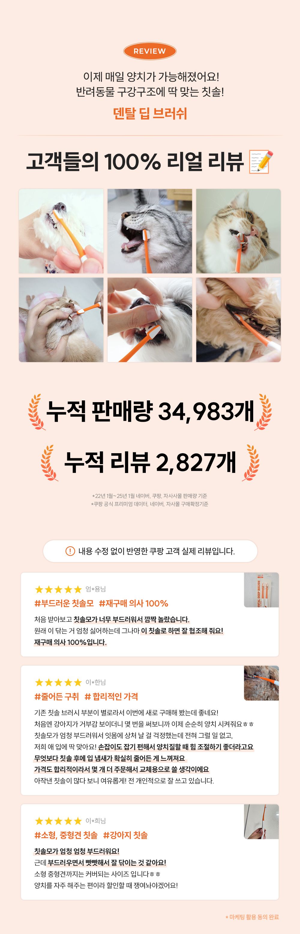 리스펫 덴탈 클린 효소 치약 100g + 덴탈 딥 브러쉬 1세트 13번째