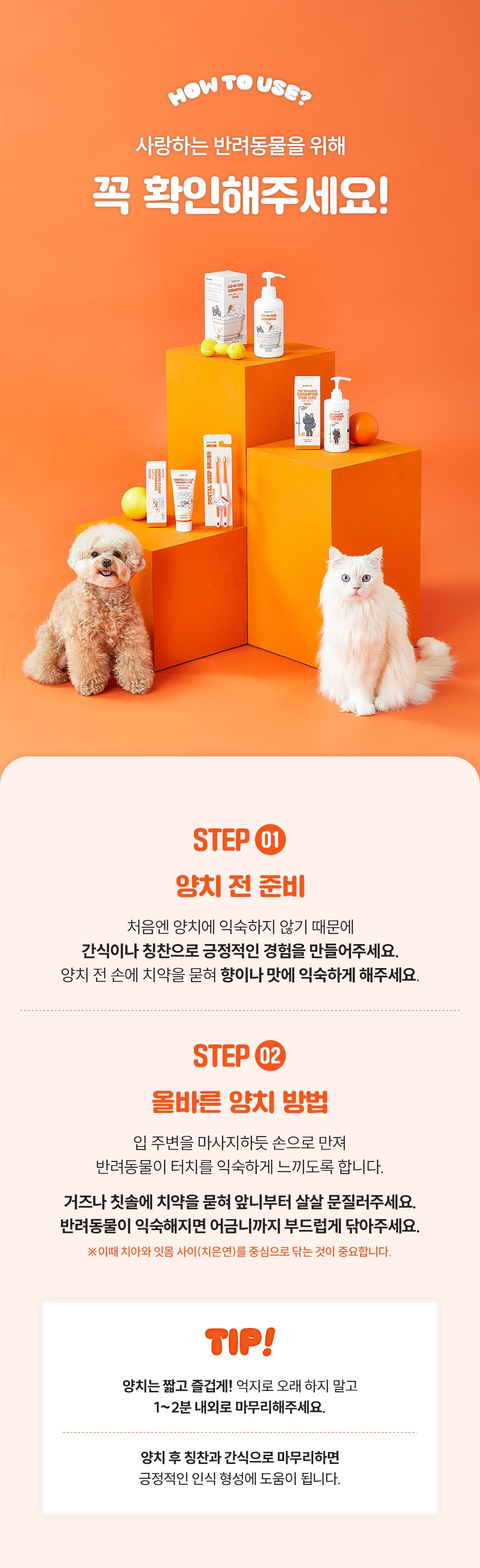 리스펫 덴탈 클린 효소 치약 100g + 덴탈 딥 브러쉬 1세트 12번째