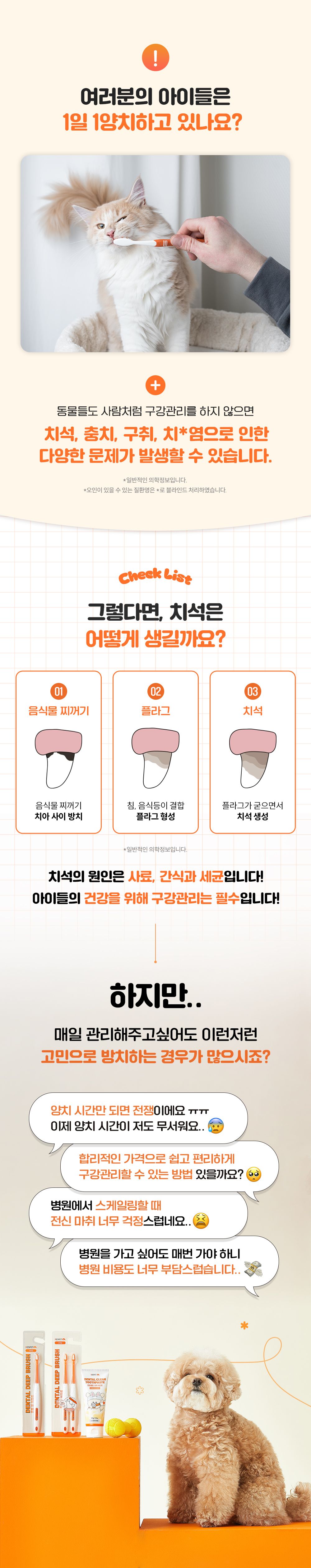 리스펫 덴탈 클린 효소 치약 100g + 덴탈 딥 브러쉬 1세트 5번째