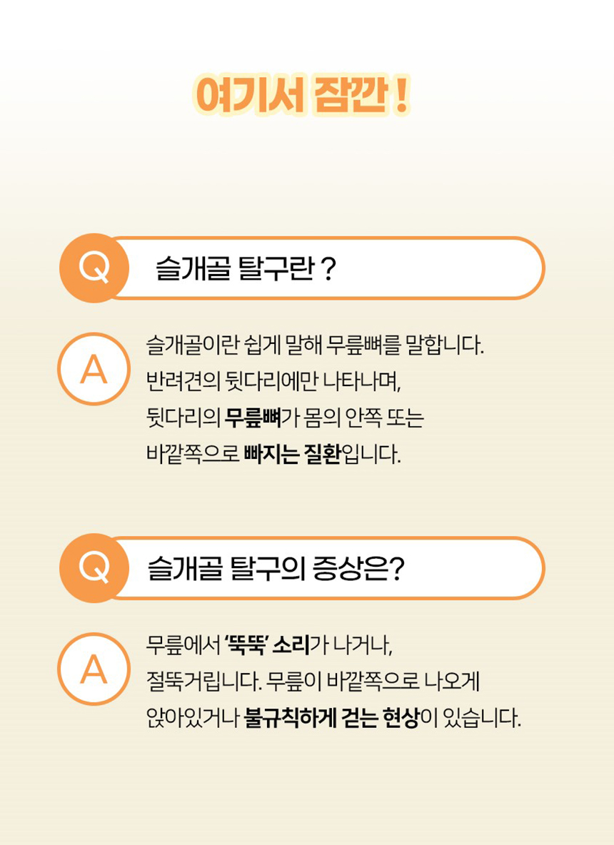 [NEW신상][무료배송] 개과천선 독 코코퍼니티 이동가방 (아이보리/그레이) 6번째
