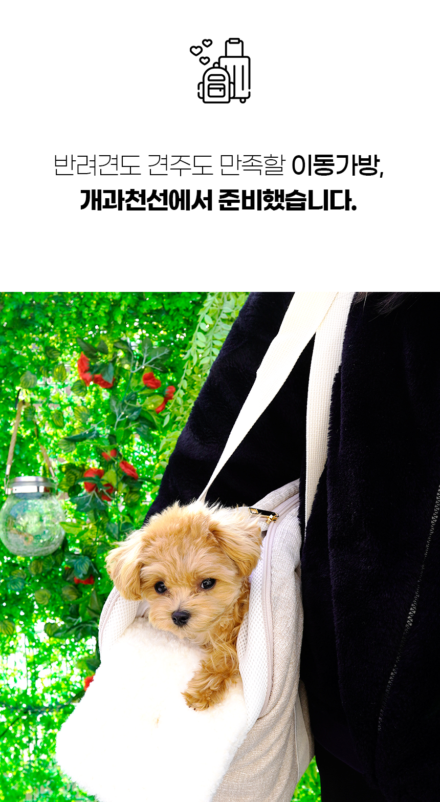 [NEW신상][무료배송] 개과천선 독 코코퍼니티 이동가방 (아이보리/그레이) 4번째