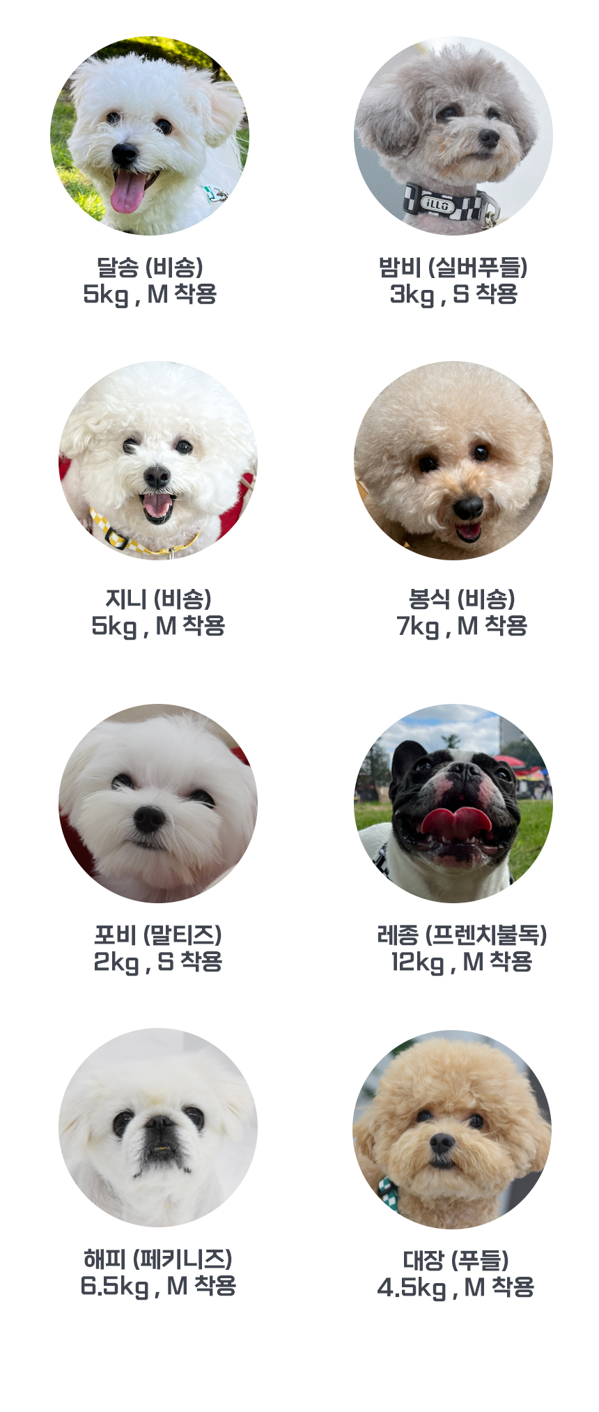 [무료배송] iLLO 텐텐 하네스 옐로우 L형 S-L 10번째